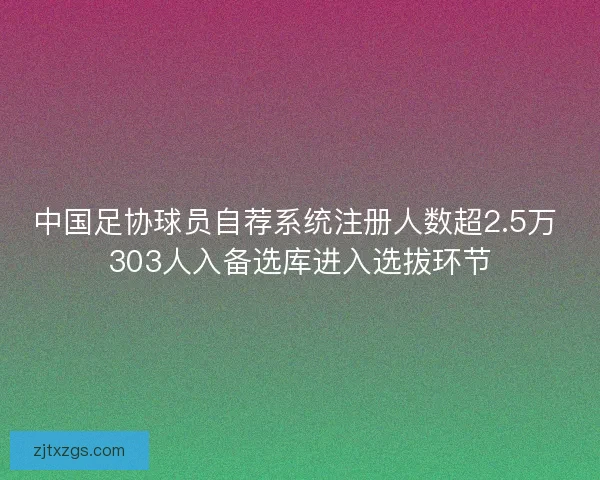 中国足协球员自荐系统注册人数超2.5万 303人入备选库进入选拔环节